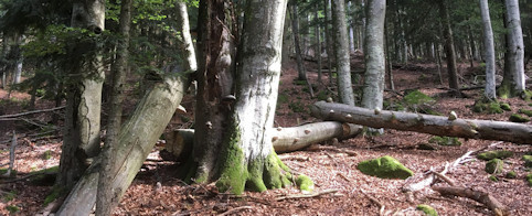 Dr. Wolfgang Epple Ganzheitlicher Naturschutz